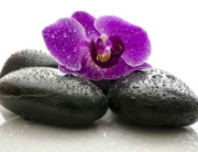 Panele szklane - orchidea, kamienie